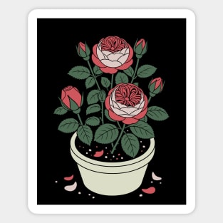 Rose plant in a pot Magnet